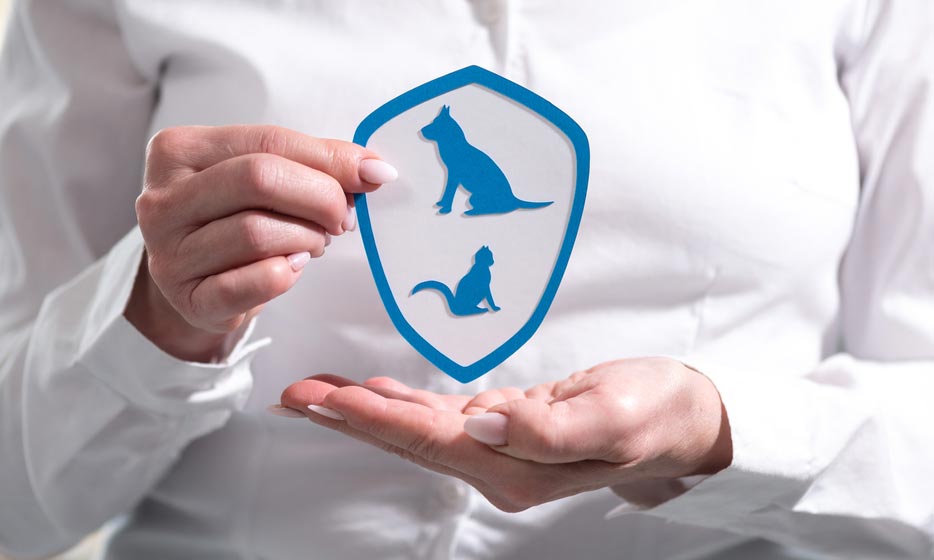 Pet Insurance